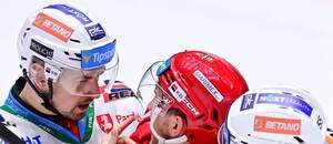 HC Dynamo Pardubice vs. Mountfield HK, Tipsport ELH, Tomáš Dvořák (Pardubice) a Ralfs Freibergs (Mountfield) ve slovní potyčce