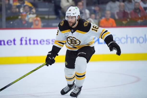 Útočník Bostonu Bruins Pavel Zacha patřil k největším českým hvězdám 10. týdne základní části NHL.