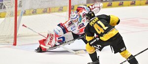 Hokej, Tipsport extraliga 2024/25 - Pardubice a Litvínov vedou žebříček týmů ELH v půlce sezony