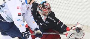 Hradec Králové vs. Plzeň živě: Kde sledovat zápas v livestreamu? Hradec Králové vs. Plzeň živě: Kde sledovat zápas v livestreamu?