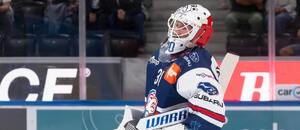 Český brankář Šimon Hrubec v dresu ZSC Lions Český brankář Šimon Hrubec v dresu ZSC Lions